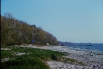 View north along the beach